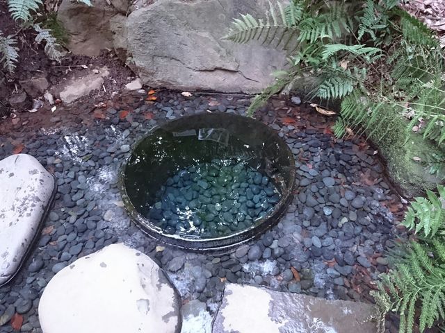 ������
_�����_�{����