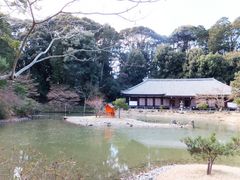 こぼらさんの浄瑠璃寺庭園への投稿写真1