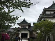 poporon̘a̎R̃ccW̓eʐ^2