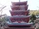こぼらさんの海住山寺五重塔への投稿写真3