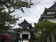 poporonさんの和歌山城のツツジへの投稿写真2