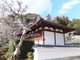 こぼらさんの海住山寺への投稿写真4