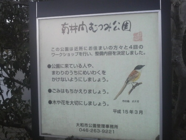 ъԂނ݌_ъԂނ݌