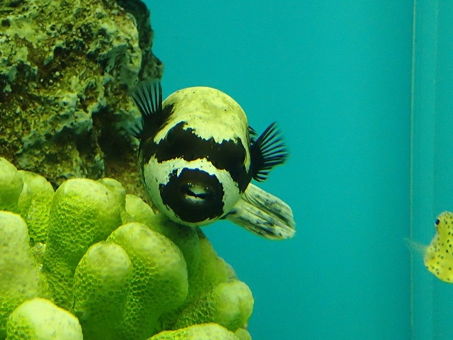 ���������ցA�������t�O�̒��Ԃɉ�܂��B_���֎s�������̂��������فE�C����