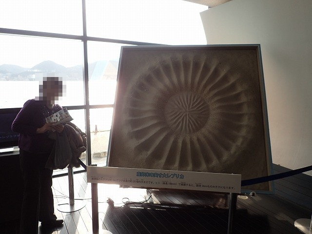 �����哇�̐V��A�}�~�z�V�]���t�O�����~�X�e���[�T�[�N���̖͌^�ŃT�C�Y���Ƀr�b�N���I_���֎s�������̂��������فE�C����