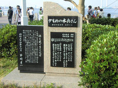 Kuda12����̃J�����̐�������̔�ւ̓��e�ʐ^1