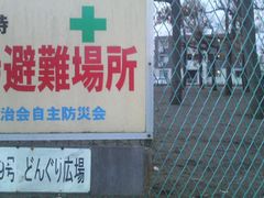 Ƃ񂳂̗΂̍L29ւ̓eʐ^1