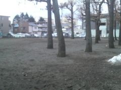 Ƃ񂳂̗΂̍L29ւ̓eʐ^2