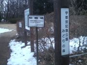 Ƃ񂳂̉Fs{LO̓eʐ^1