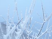 ͂Ȃ̐샊][g@g} XeX̓eʐ^1