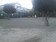 Ƃ񂳂̓ъԂނ݌̓eʐ^4