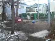 Ƃ񂳂̒ъԌܒڌ̓eʐ^1