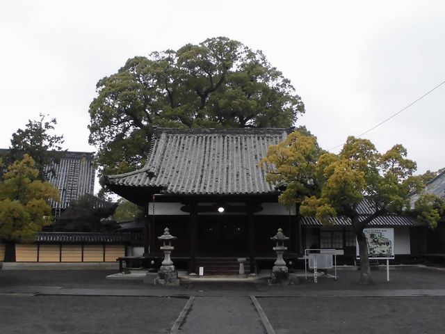 �ڂ肳��̍��i�R�{�厛�̓��e�ʐ^8