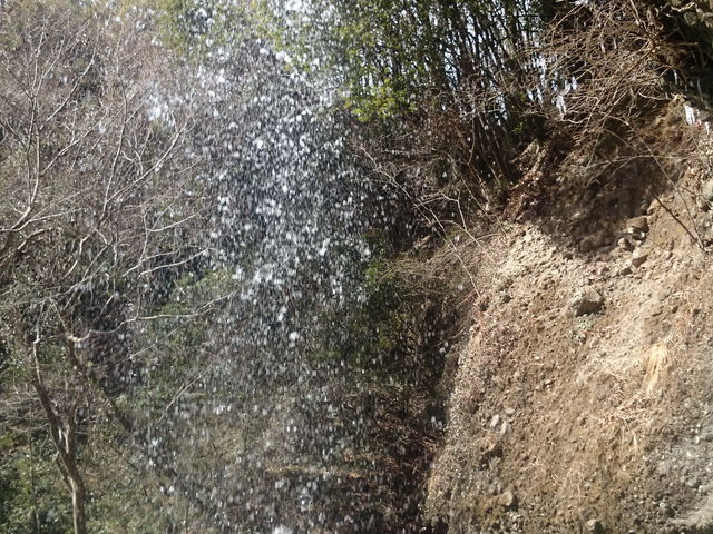 ������ƕ�����Â炢�ł�����̗�������B_���҂̑���݂���