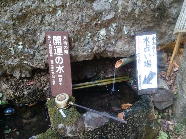 �M���邩�M���Ȃ����͂��Ȃ�����I_���҂̑���݂���