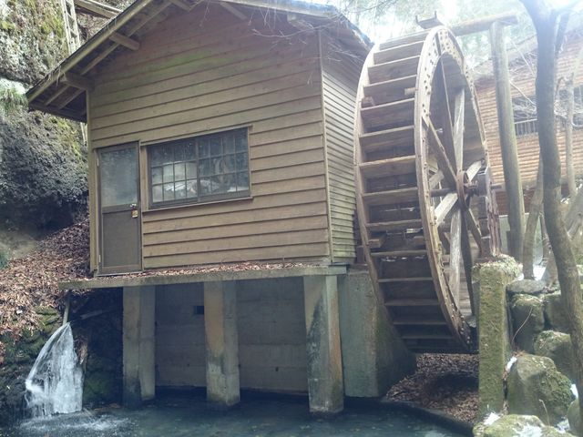 ������������̖ڂ̑O�ɑ傫�Ȑ��Ԃ�����܂����B���̉������̗�����(��10m)_���҂̑���݂���