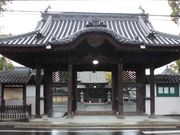 �ڂ肳��̍��i�R�{�厛�̓��e�ʐ^10