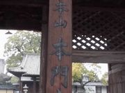 �ڂ肳��̍��i�R�{�厛�̓��e�ʐ^9