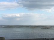 poporon̗LC̊C۔̓eʐ^1