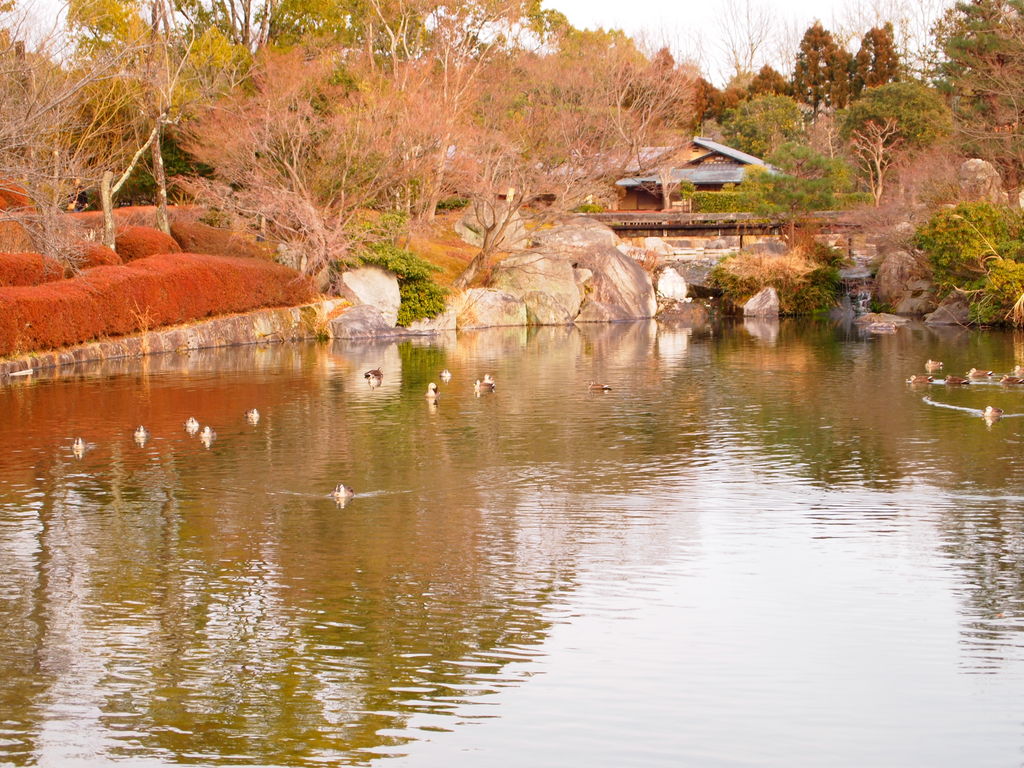 瀬田 滋賀県 駅周辺の公園 庭園ランキングtop10 じゃらんnet