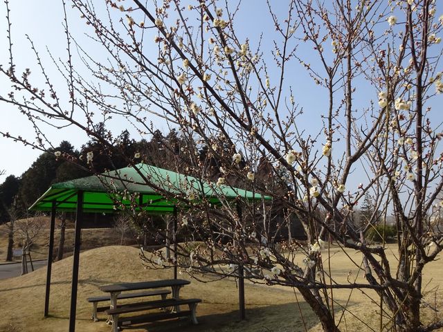 �~�����ꂩ��c_���ƕ��̋u����