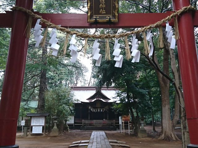 ��������{�a_�X�쏗�̐_��