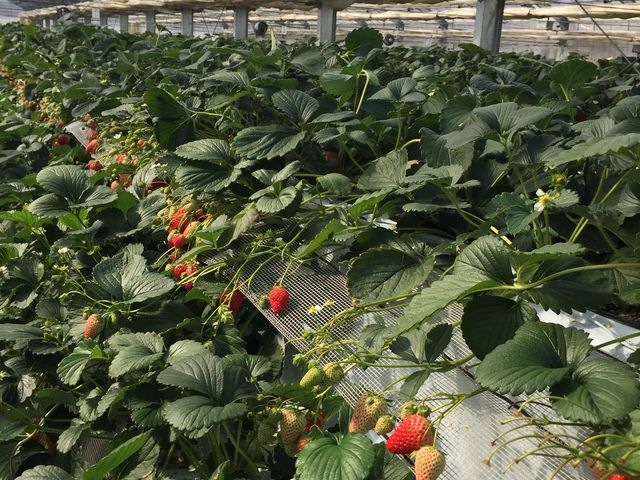 �������������Ł[��_������������