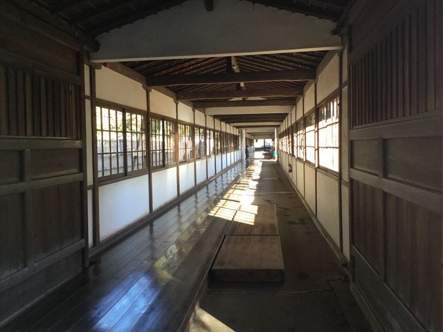 ���������L��_������