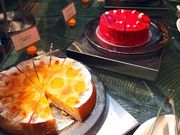 pĴ`m`C^[R`l^ze@VpEo[̓eʐ^1