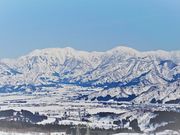 ܂[܂񂳂̃CJXm[][g̓eʐ^1