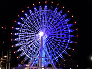 }[~[̎OAEgbgp[N `̓eʐ^1