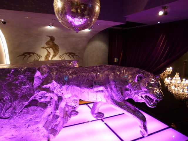 g\̃Xe[L&JWAt`C^A Tiger Gang bX̓eʐ^1