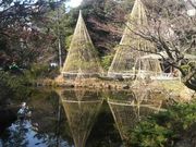 Ƃ񂳂̊Ð򉀌̓eʐ^5