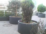 ���Ƃ��񂳂�̍��c�n��w�O�����̓��e�ʐ^3