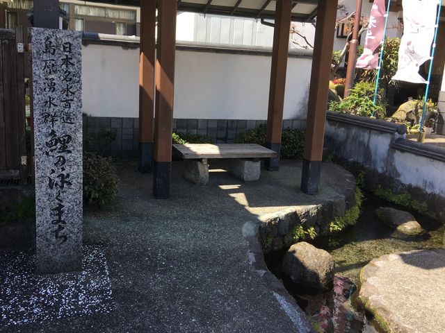 �ʐ^�D_��̉j���܂�