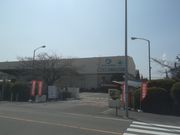 TrL̉q}eAijc]H̓eʐ^1