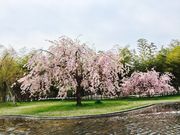 ݂̍sەZ^[uR[v̓eʐ^1