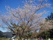 cJ擙X͂̏Zl̖ؑ]쉈̍̓eʐ^1