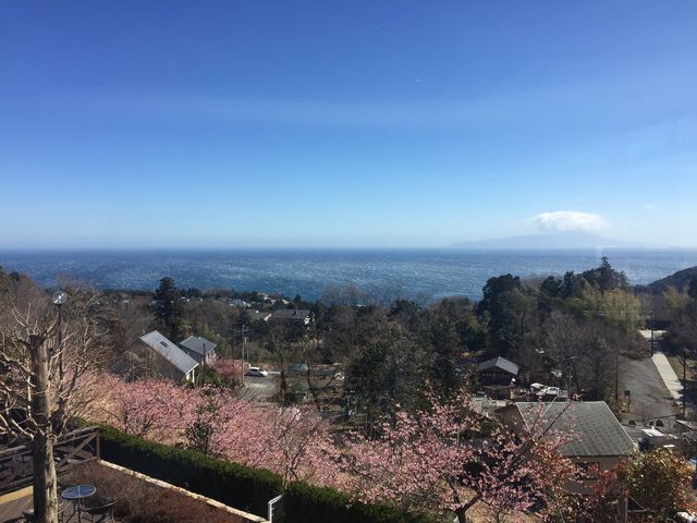 �i�F_���@�����p��