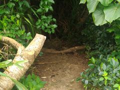 肮肳̈ɗǕEnւ̓eʐ^1