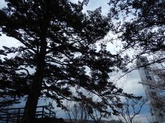 ZUNDAM̑D隬̞m؂ւ̓eʐ^1