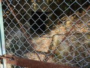 ݂݂̊֐w@\Õ̓eʐ^2