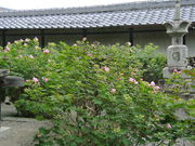 ݂݂̎ɓ߉@̕u̓eʐ^2