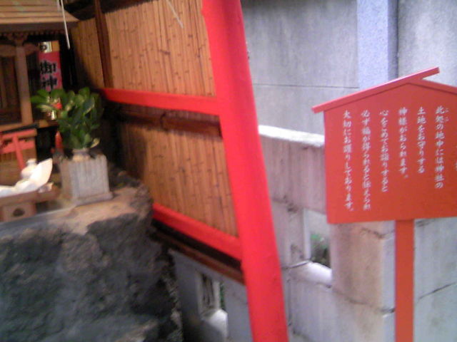 �����l�̗��D_�g���_��