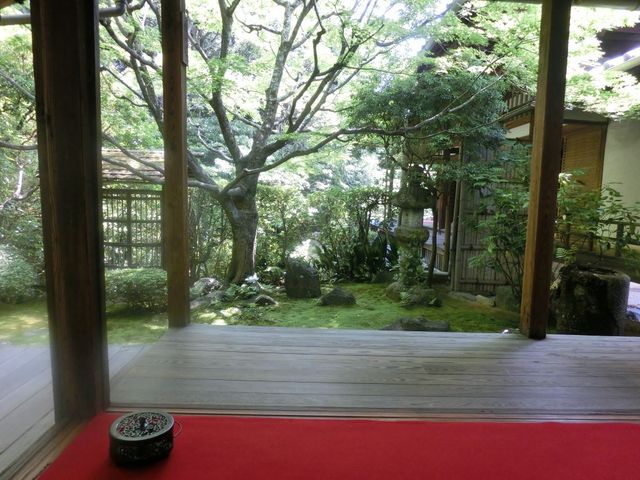 �̂т̒�𒭂߂Ȃ��疕���𖡂킢�܂���_���S���j�t�@