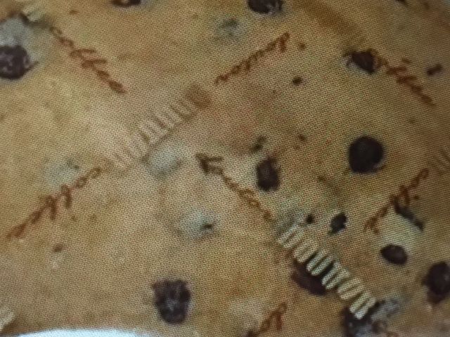 hg[R[q[_hg[R[q[Vbv VwOX