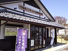 �T�[�x���^�C�K�[����̔E��o�X�^�[�~�i���ό��ē����ւ̓��e�ʐ^1