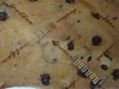 ����������̃h�g�[���R�[�q�[�V���b�v �V���w�O�X�ւ̓��e�ʐ^1