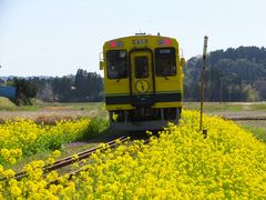 jR񂳂̂ݓSւ̓eʐ^1