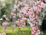 ߂̂̌ỹV_UN̓eʐ^3